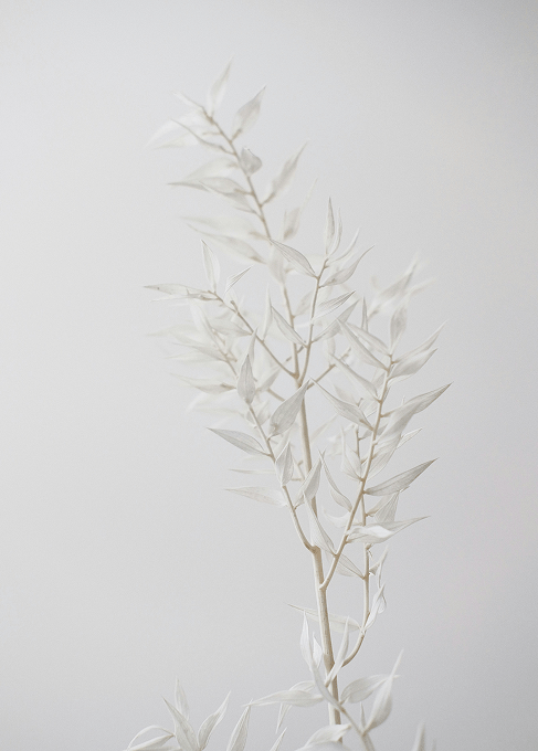 Le Cocon, salle d'ambiance de Mothaim